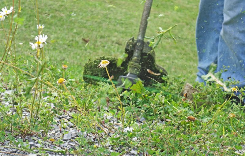 Effective Weed Cutting Costs — Cost of Weed Cutting