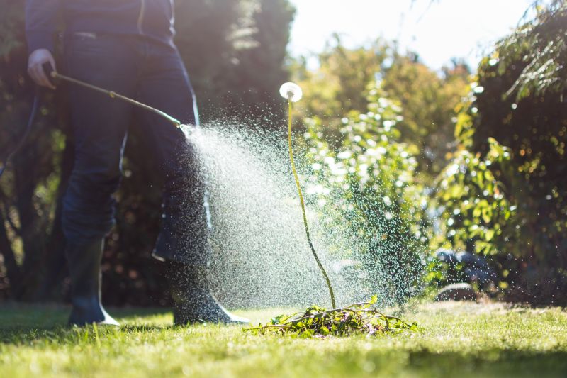 Effective Weed Cutting Costs — Cost of Weed Cutting