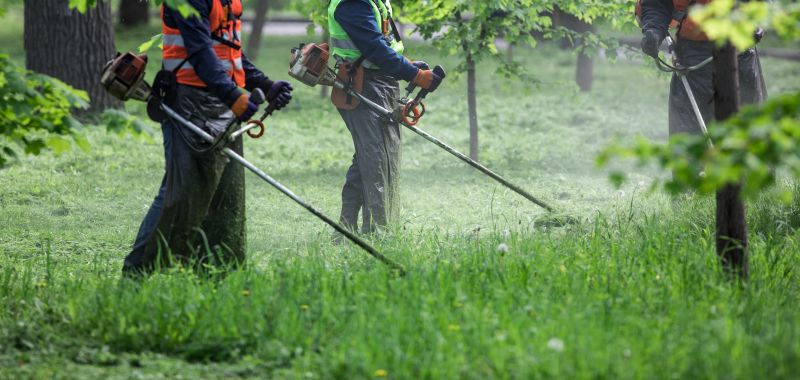 Effective Weed Cutting Costs — Cost of Weed Cutting