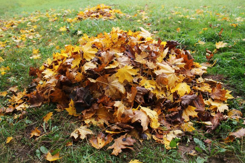 Leaf Pile Hazards