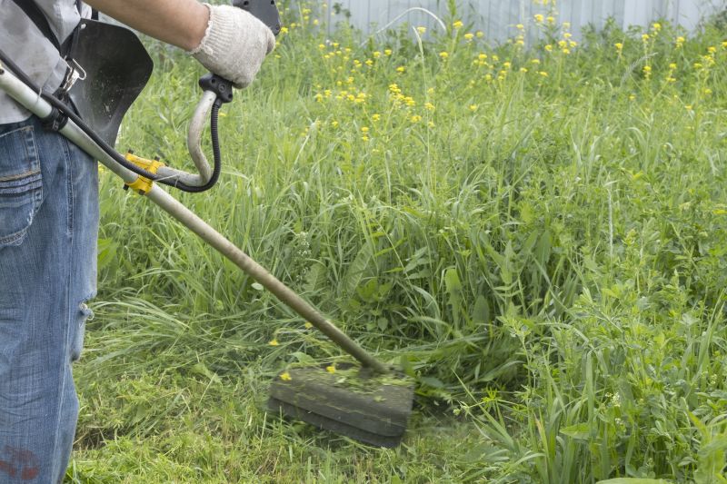 Weed Cutting