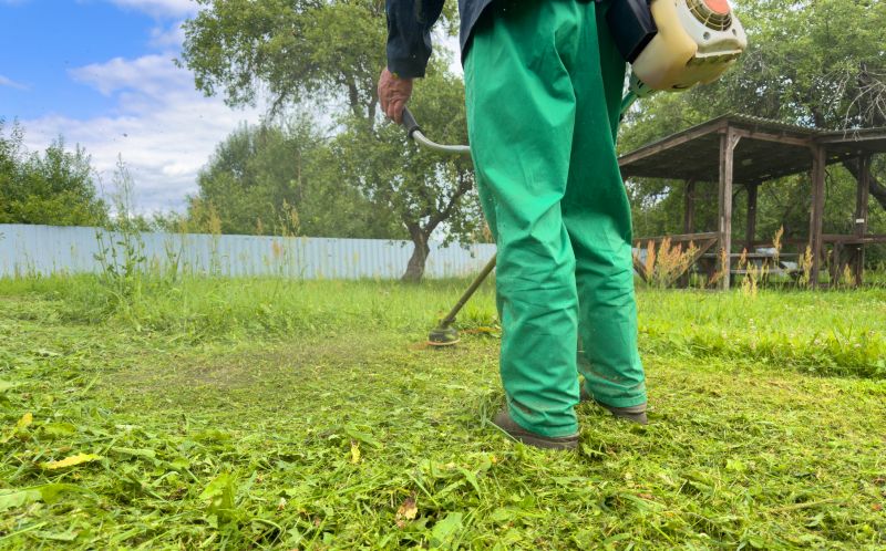 Lawn Weed Spraying